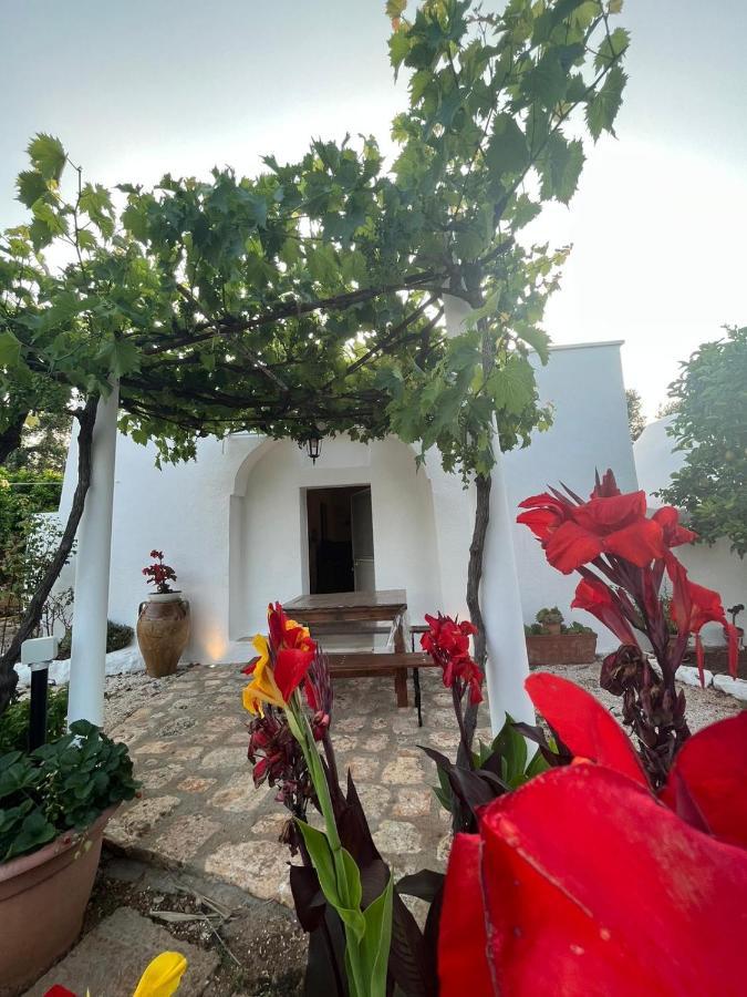 Country house Sotto La Pergola